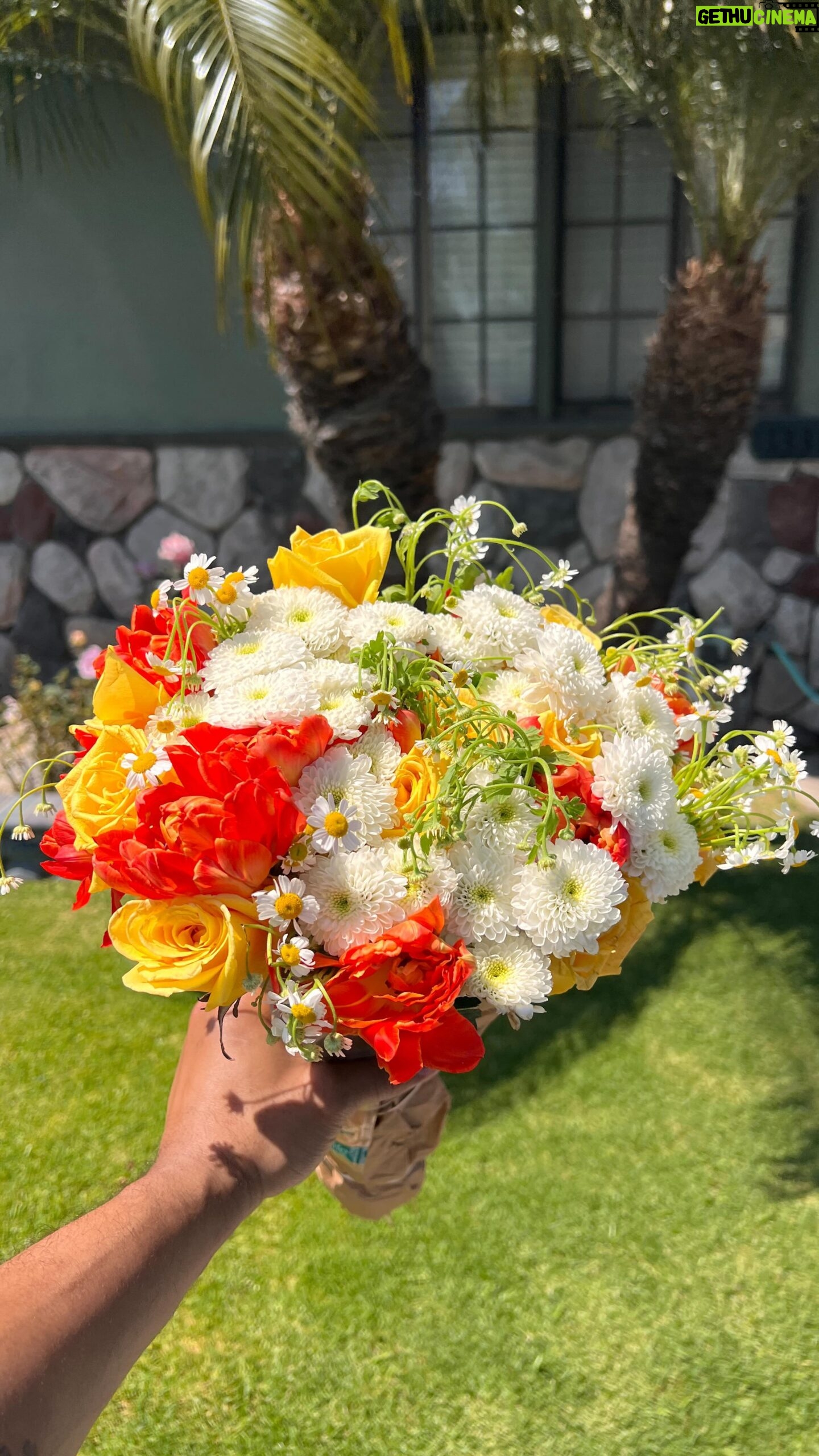 Jerrold Smith II - 3 Likes - How do you all celebrate your loved ones? How do yall celebrate yourselves? Hope everyone gave their mothers, grandmothers, and themselves some flowers this weekend 💐
use my code “jerroldhtims” when ordering from @jardin.deluxe
#mothersday #mothersdaygift #flowers #burnout #dailyvlog
