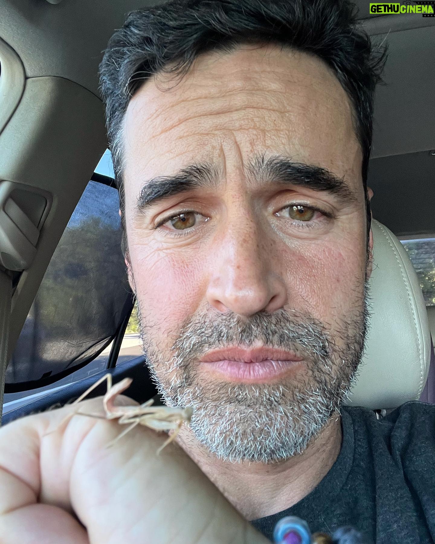 Jesse Bradford - 4.2K Likes - So we took our daughter to the zoo for the first time yesterday but that’s not even the headline. The headline is I SAVED A PINK PRAYING MANTIS AND THEN SHE WOULDN’T LEAVE MY SIDE FOR 7 HOURS. She did the whole zoo with us, then lunch, grocery shopping, and even a friends BBQ (my friend, not her friend, I don’t actually know any of her friends). Anyway, she came all the way home with us. The second to last photo is from when I coaxed her into our creosote bush, where she finally seemed ready to get back to her regular life. The last shot is from right after we met 💚