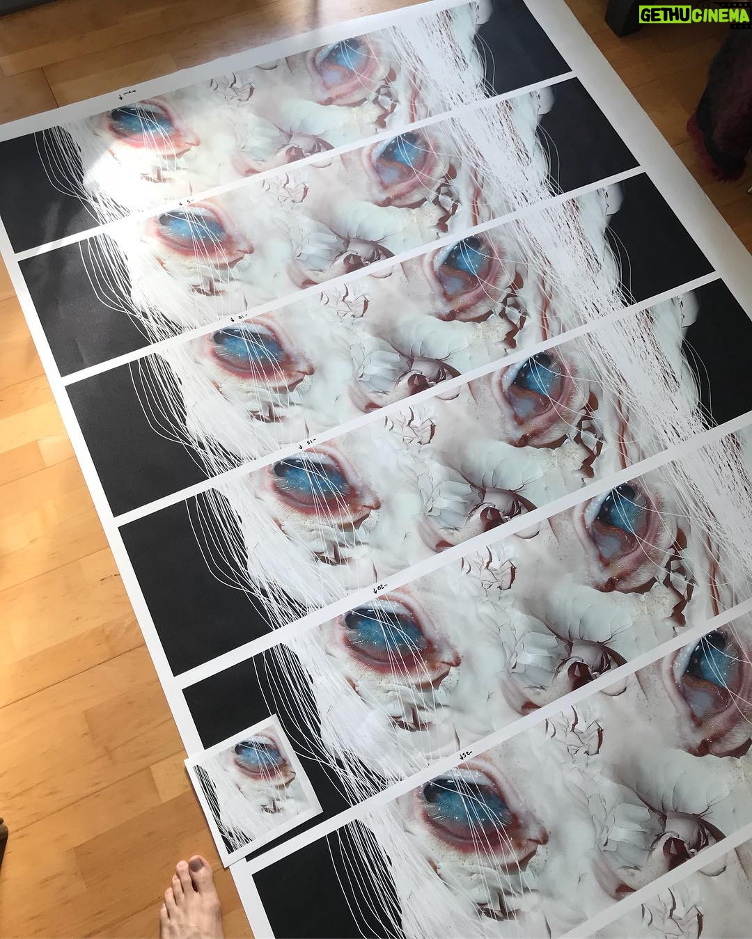 Jesse Kanda - 3.1K Likes - MENE TEST PRINTSSSSSSS