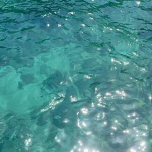 Jessica Jung Instagram - Unplugged for this🩵🛥️˖°𓇼🌊⋆🐚🪸🫧⚓️