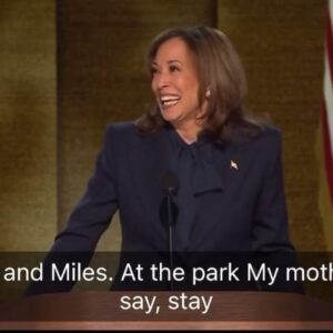 Jessica Yellin Instagram - This is a carousel. Swipe for more from the speech.

In her acceptance speech tonight, @vp  Harris accomplished many things at once:
- prosecuting the case against Donald Trump 
- adding policy detail to her campaign message 
- reassuring key constituencies of her values on hot button issues including the border and Israel/Gaza
- telling her personal story so voters have a better sense of her as a person.

Above all and beyond the specifics Harris achieved the most difficult task for a female candidate for office - she was warm, likable, and tough. In this week’s newsletter I’ll explain why that’s so hard and so important for women running for office. She nailed it. 

Sign up for the newsletter at the link in bio. 

What are your thoughts and impressions? 

#harris #dnc #nominationspeech
