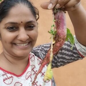 Jhansi Instagram - Red and white radish 
Easy and fast growing 
Help softening hard soils.