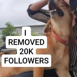 Jhansi Instagram - Instagram suggested that 20000  followers were either spam or irrelevant and asked to review. So I took the cold plunge to purge 20k followers off my account. 
Let go of something that doesn't serve purpose  to you. Stay bold, don't fear the Number game.