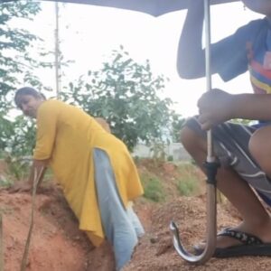 Jhansi Instagram - The little helping hands on Duty. 
These inquisitive minds have learned about a TRENCH  and its importance in water harvesting ... let the water soak into the earth. 
Vetiver plantation to control soil erosion. 
Do your bit to address the climate crisis.
Lil champs are my electrian's kids and the spl entry is our senior farm dog INJI, eating grass.
