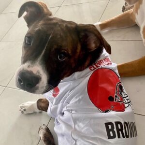 Jim Brown Instagram - Let’s Get ‘Em Cleveland...! @clevelandbrowns @officialdawgpound