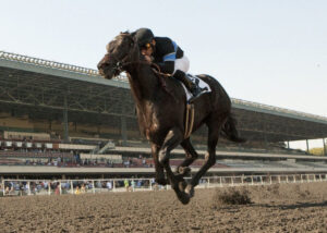 Jim Rome Instagram - Long live the Champ.  Shared Belief passed away five years ago today.  I will never forget the Big Horse.  Miss the Champ very much.