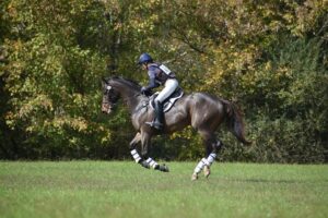Jim Rome Instagram - Former Jungle Racing runner Straight Up G retired as racehorse, found a new home (Thanks, Erin!) and has settled beautifully into his new life and second career.  He looks fantastic and is loving life.  Thanks to Liz Crawley for these amazing pics.  Great mind.  Great equine athlete.  And one of the best dudes ever.  #StraightUpG