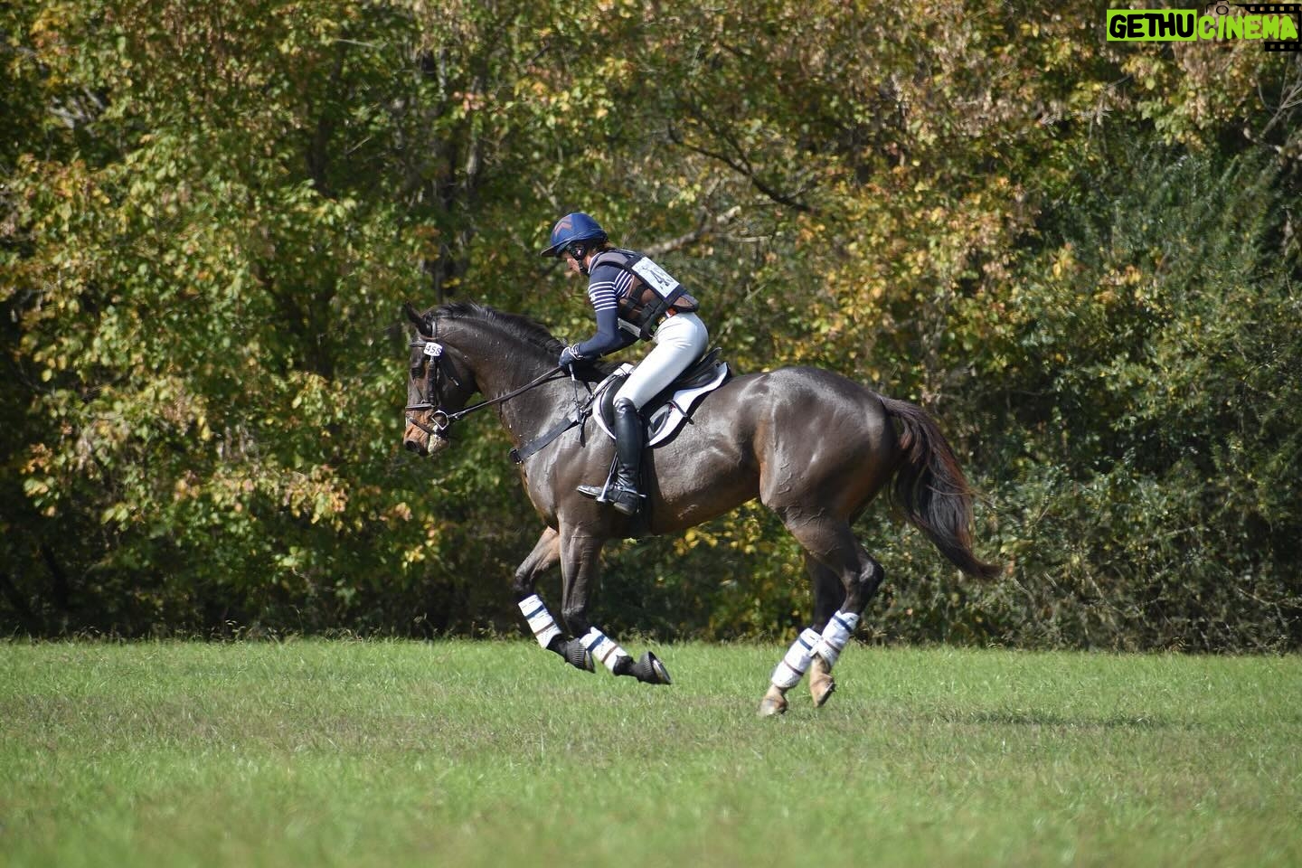 Jim Rome - 817 Likes - Former Jungle Racing runner Straight Up G retired as racehorse, found a new home (Thanks, Erin!) and has settled beautifully into his new life and second career. He looks fantastic and is loving life. Thanks to Liz Crawley for these amazing pics. Great mind. Great equine athlete. And one of the best dudes ever. #StraightUpG