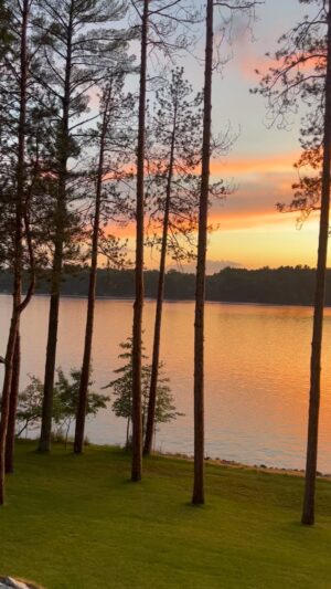 Jim Rome Instagram - People always ask me why we summer in Wisconsin.  Well, no  one is asking  ME that this summer (see you tomorrow, Clones, in The Jungle and streaming live on the X platform). But normally I do bust out for the Lake and the Fam currently is there because  Eagle River, Wi kicks ass and Lake Life is the best life.  Right now, I’m locked into Grind Life over Lake Life but I will be back to the Northwoods whenever I can.  In the meantime,  see above.  That should answer  any remaining questions why we spend so much time in Wisconsin.  #LakeLife #eagleriverwi