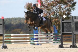 Jim Rome Instagram - Former Jungle Racing runner Straight Up G retired as racehorse, found a new home (Thanks, Erin!) and has settled beautifully into his new life and second career.  He looks fantastic and is loving life.  Thanks to Liz Crawley for these amazing pics.  Great mind.  Great equine athlete.  And one of the best dudes ever.  #StraightUpG