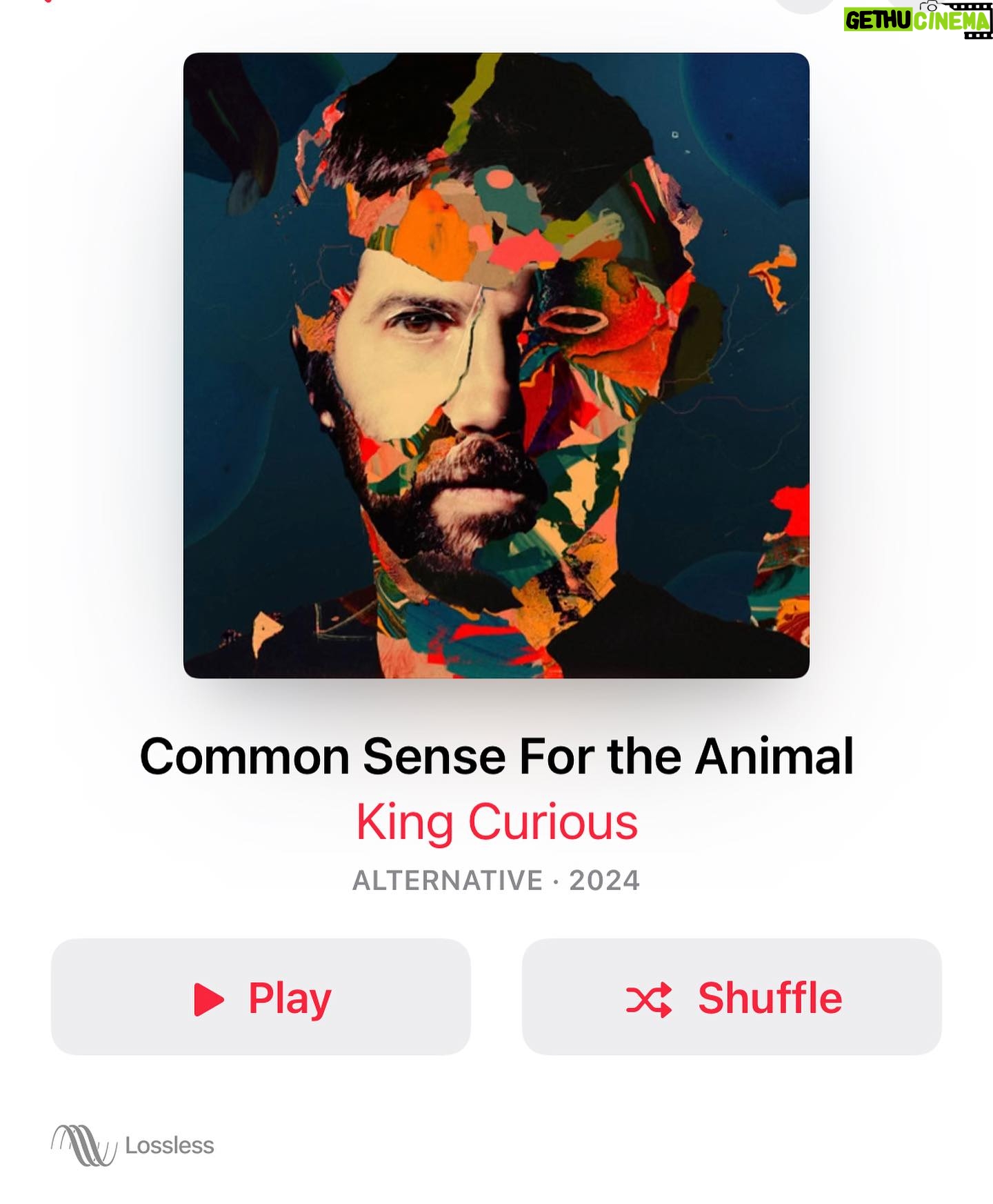 Jim Sturgess - 3.1K Likes - What is Common Sense For The Animal ??
Album OUT NOW !!
KING CURIOUS - ‘Common Sense For The Animal’
OUT EVERYWHERE
Vinyl ( signed copies) - available at the LINK IN BIO
All vinyl shipped worldwide 🌍