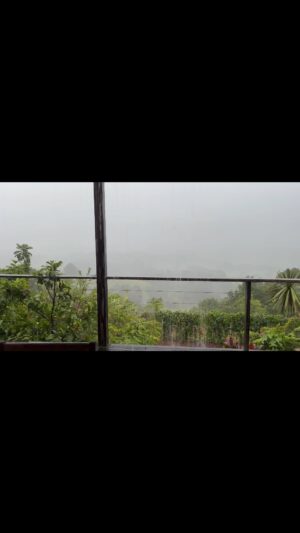 Jimeoin Instagram - On my holidays in Byron bay