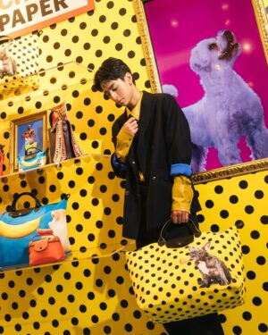 Jimmy Liu Instagram - LONGCHAMP x TOILETPAPER 聯名系列派對活動

謝謝品牌的邀請 昨晚玩得非常開心，跟大家一起拍攝短影音好好玩

這次聯名系列的包款我都覺得超符合我的 幽默搞怪的風格我超愛 尤其這種帶在路上風格一定是獨一無二的
不用怕跟別人一樣
我最喜歡的包款就是法鬥咬著煙斗的
跟一匹黑馬在天空奔騰的 
你們覺得哪一個適合我勒？
#longchampxtoiletpaper 
@longchamp