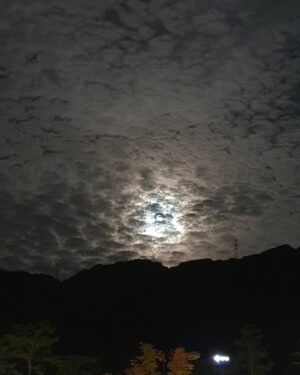 Jo Hyun-jae Instagram - 즐거운 명절 보내세요^^
#명절 #추석 #🙏