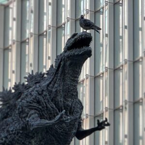 John Daub Instagram - Tokyo’s Pigeons are Fearless. To taunt Godzilla like this … 😮