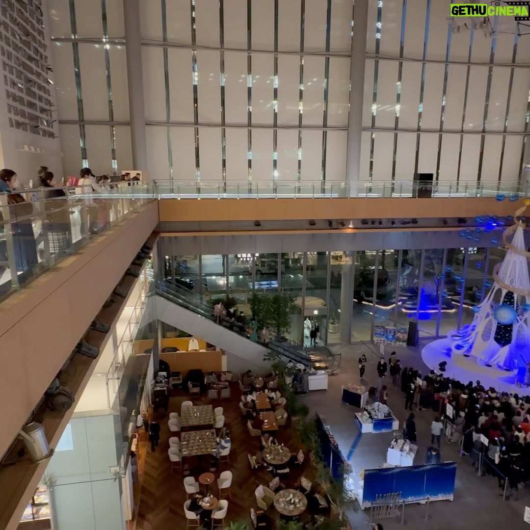 John Daub - 1.9K Likes - In search of Tokyo’s BIGGEST Christmas Trees, we found 3 good candidates around Tokyo Station’s Marunouchi area — inside the Kitte Building is always a massive 🎄🤩 and the Maru Building has Disney themed tree! There’s also a anyone-can-play-the-piano-in-front-of-the-tree TREE 🎹 in tonight’s live stream on GO! with guest reporter, Leo 🦁