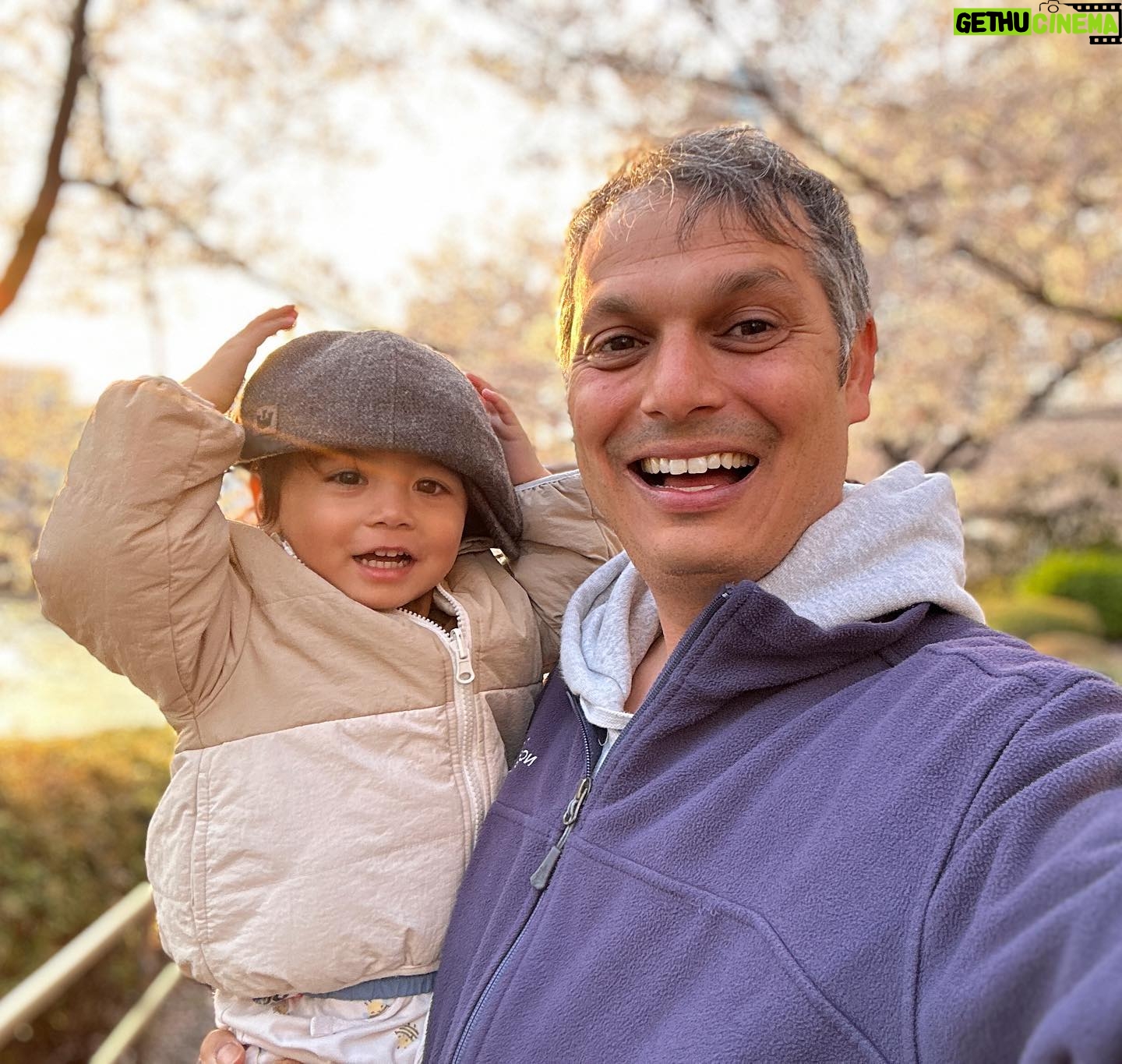 John Daub - 1.9K Likes - I may not get my hat back 😳 The Somei Yoshino Sakura 🌸 Blossoms are at their end. If the wind doesn’t blow it away 🌬️ or the rain doesn’t wash it away, it’ll be the fresh green leaves shooting out! But just maybe, we’ve got 3 more days on the back end including this weekend 😁 who’s in #tokyo enjoying it right now?