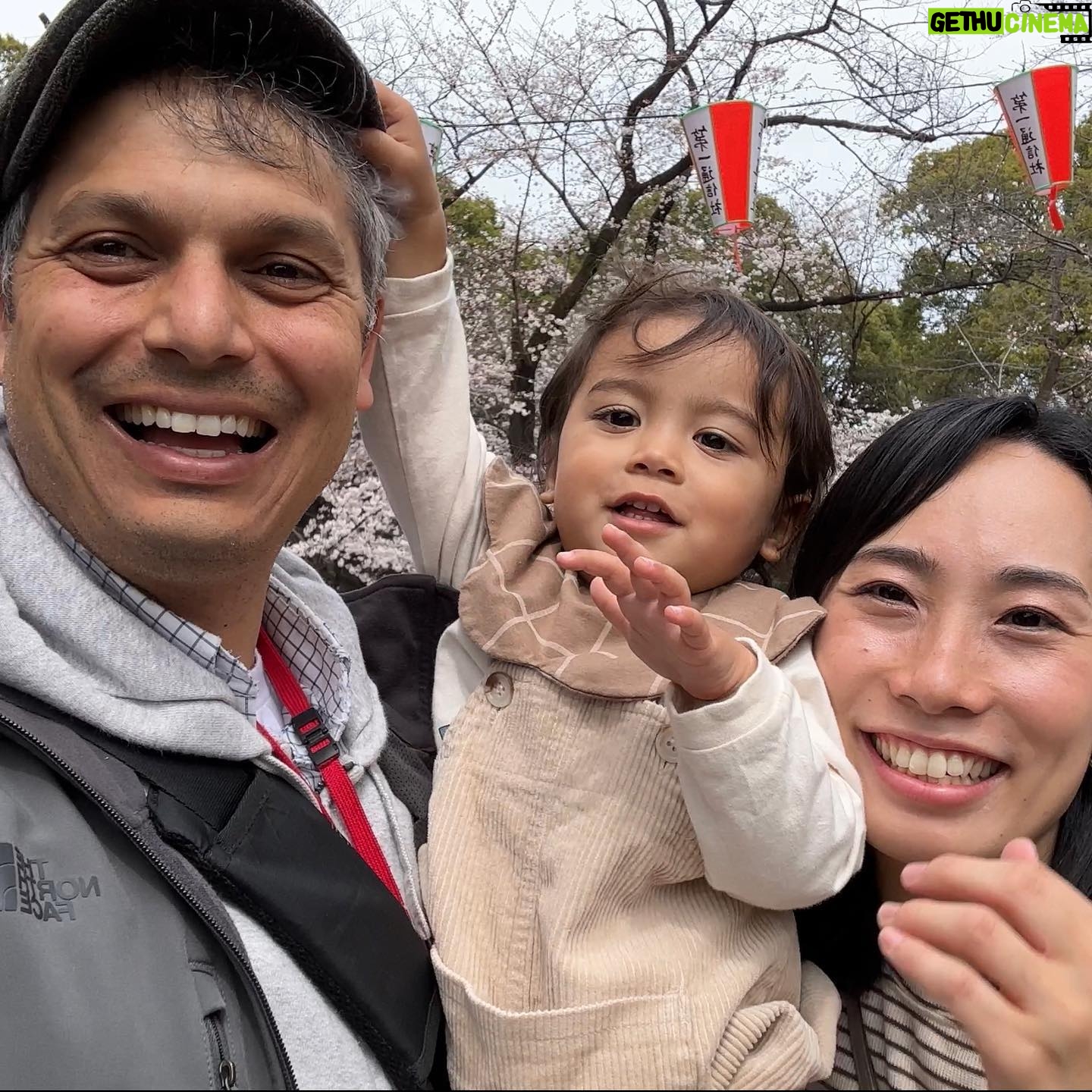 John Daub - 3.1K Likes - Tokyo’s Cherry Blossom Season started strong today — a national holiday, Ueno Park was packed, the Sakura blossoms 50% bloomed. Events back like 2019. Tomorrow and this week brings rain so fingers crossed the city gets another dry day like this. Dominos JP was delivering to Hanami-goers! Wow (video at the end) #uenopark