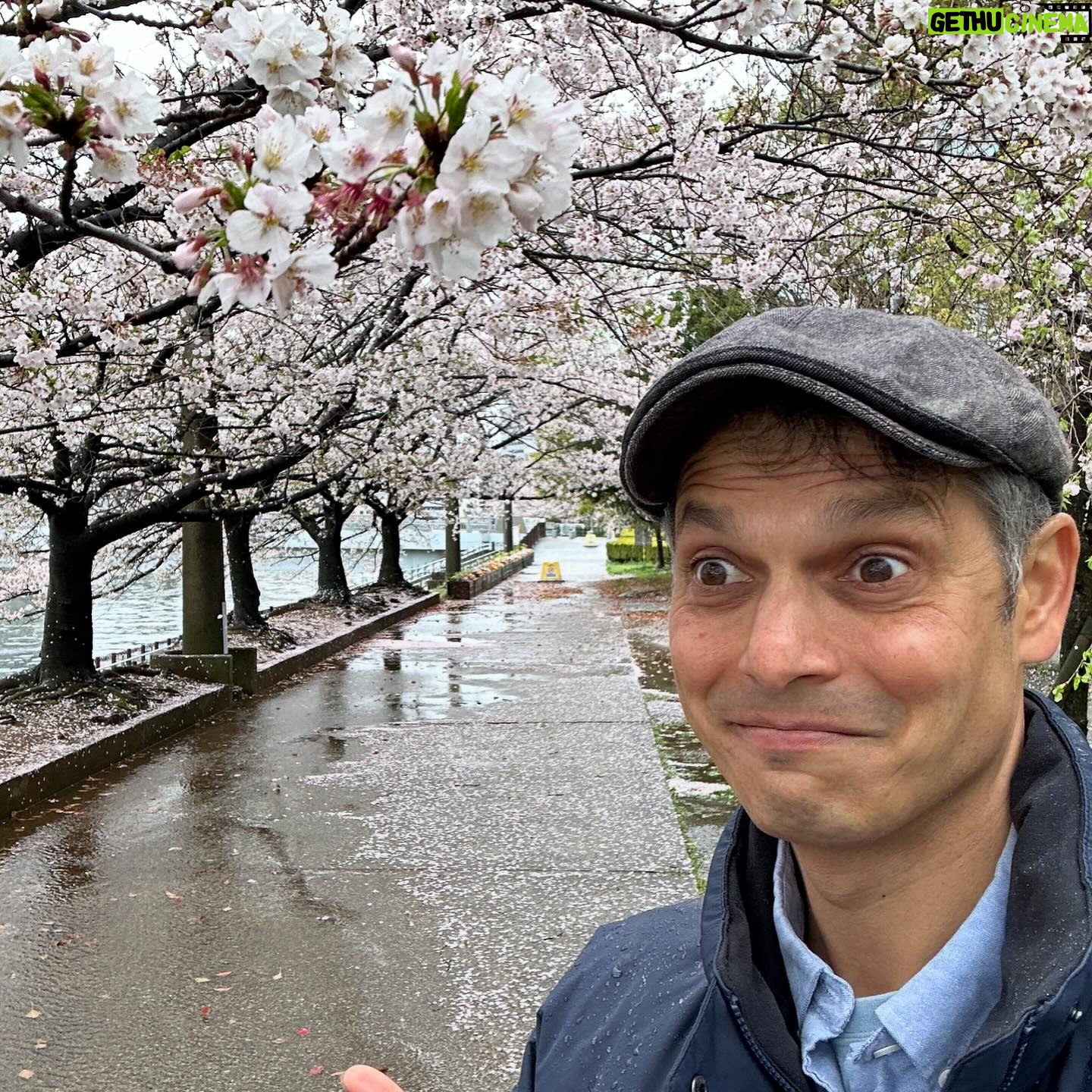 John Daub - 1.4K Likes - Tokyo: The first wind and rain after full bloom usually means the end of the Cherry Blossom season in the capital. Sure, some late bloomers remain, a few trees will have blossoms for a week more, but it is all down hill for them — unless you go uphill! News reports that the blossoms move north 20km / day so up in Fukushima and Yamagata, it’s just starting! And at elevation like Mt Takao and Okuyama in Tokyo 😉