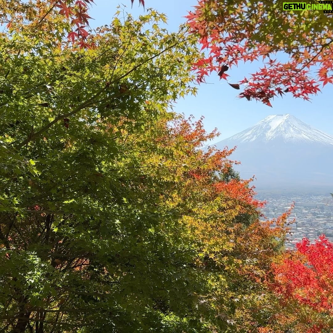 John Daub - 2.5K Likes - Mt Fuji from the steps to the top of Arakurayama Sengen Park (Fujiyoshida City) with pagoda. Note: 99% of the people here were non-Japanese! I didn’t see or meet any Japanese except Kanae 😂 and a few guides. English, Thai, Chinese, Canadian (eh) and some German, Italian and Polish — super interesting in that respect. You MUST come before 9:30am or the sun is just too bright, the haze will dull the view. Evening or late afternoon after 16:00 has a lovely backlight. Lighting is EVERYTHING. In the AM, it’s coming perfectly to Mt Fuji for the shot. Don’t be late (like us) 😂 🗻 does anyone know the history behind this spot? #fujiyoshida #arakurayamasengenpark