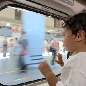 John Daub Instagram - Shinkansen! Tokyo Station to Nagaoka for the First ONLY in JAPAN Bus Tour to the Japanese Countryside. Leo & Kanae coming too. Time for some Niigata Adventure and Fireworks, Grandma restaurants, Onsen, Ryokan and Koi 🐠 Ponds ٩(^‿^)۶🎌