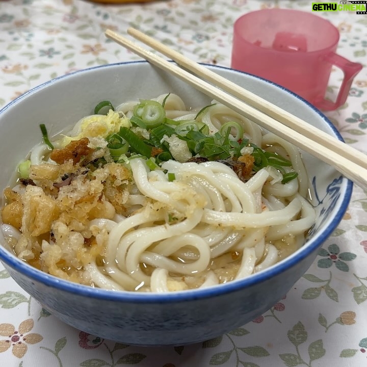 John Daub - 1.5K Likes - The best Udon noodles in Japan is at Miyagawa Seimen in #zentsuji city, Shikoku. It’s been 5 years since my last bowl here with @thefoodranger “Where’s Trevor?!” She knew me right away, said I lost weight 😂 Sharp as a tack! Trevor & Ting, come back again soon ❤️ - message from the master! ^_^ who wants a bowl? Closes right after lunch, made fresh every morning at 5am.