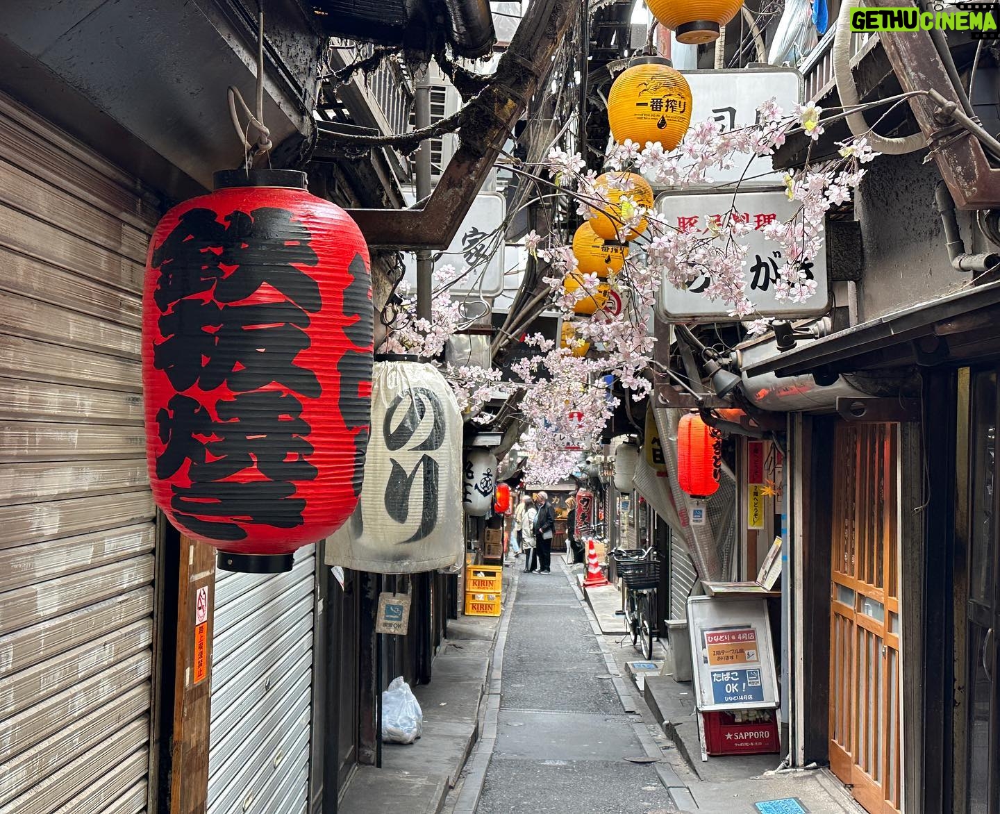 John Daub - 1.5K Likes - Shinjuku’s alleys are an experience and Omoide-Yokocho is a must-visit. It’s no longer a must-eat since many shops have changed owners, quality is not the same (nor the prices) but walking through there, even in the afternoon, is like going back in time. These shacks came up after WWII from necessity and have evolved a little but still feels like the old Showa era. The name means “memory lane” but had been called “piss alley” in its prime … wonder why 😂 you’ll find more tourists than locals but your photos will be incredible! Golden Gai (old shack bars) is nearby and places like Shinbashi, Okachimachi offer an option to old school outdoor urban eating. In modern Japan though, it’s not common anymore. #shinjuku #omoideyokocho #goldengai #onlyinjapan