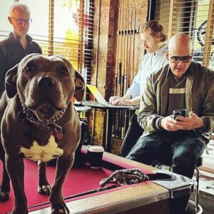 John Heilemann Instagram - T-minus 43 minutes to the double-length, double-strength season finale of @SHO_TheCircus. In the 7 years we’ve been on air, our hourlong Election Week specials (2016, 2018, 2020) have been among the very best eps that our unrivaled team of real-time political docu-assassins has produced. Tonight’s 2022 midterm incarnation is no exception, and in some ways it may be our most ambitious, audacious, amazing season-ender yet. I don’t want to spoil too much, but I will note THREE unusual elements in our S7 finale: (a) pictured 👆👆👆, a game-changing, award-worthy performance, in a roundtable set at @raysbarnyc, by the legendary hound (and 🍩 whore) @kumatheroux … accompanied by a perfectly serviceable turn by her dad @justintheroux; (b) a positive Covid test in the early innings of last week by one of our cohosts, who later rallied to make a heroic, Kirk Gibson-like return to the field (if he does say so himself 😂) in the bottom of the ninth, with Roger Angell-worthy results; and (c) arguably the greatest cold open in #TheCircus history. After the finale has aired on the East *and* West coasts, I will post the open here … but not until then (no matter how much you beg, you impatient fiends). So if you’re dying to see the open asap—and the rest of this remarkable ep, RIPTIDES—be sure to dial in @showtime at 8pm ET/PT. And, oh, btw, if you do, prepare yourself for something so unexpected and so extraordinary of late that you might wind up feeling a bit weepy: an honest, real-deal, no-bullshit sense of hope about the state and fate of American democracy. 🎪🛫🛬🚆🚘🎥📺🇺🇸
