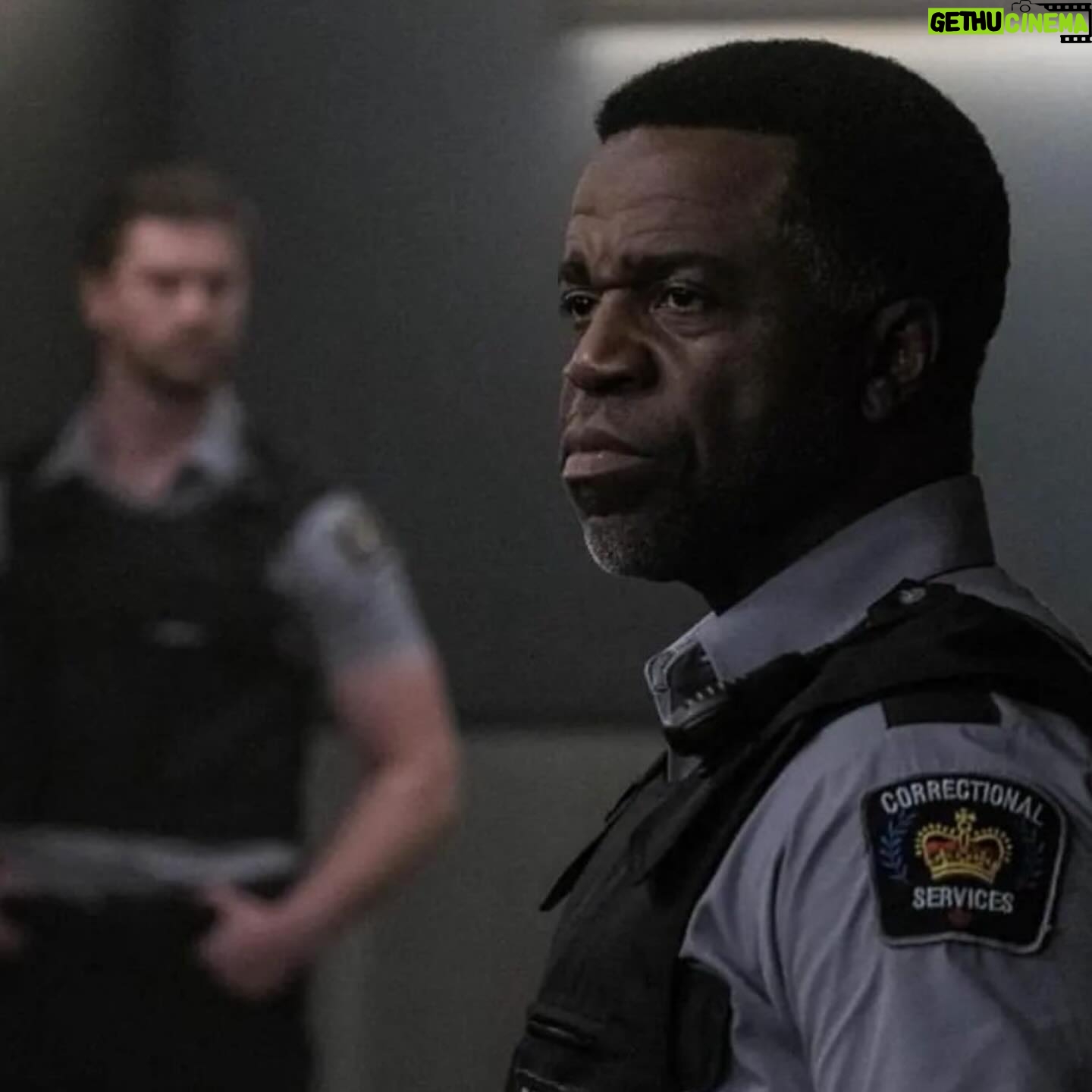 John Reardon - 4.1K Likes - We’re back soon. February 20th 8pm est @hudsonandrex @brbk9 @viicmanson @maykonguyen @thekevinhanchard @justinckelly125 #rex #hudsonandrex #germanshepherd #dogs #dogofinstagram #detectives #crimeshow #drama #copshow #newfoundland #canada #tv