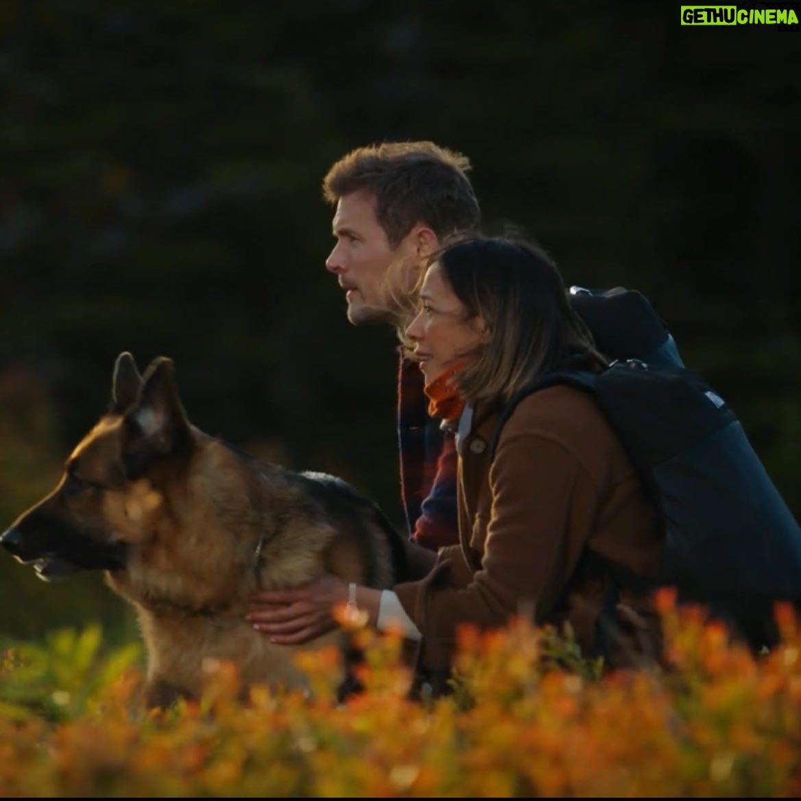 John Reardon - 5.6K Likes - Hope you enjoyed season 4 premiere last night @hudsonandrex #season4 #tvseries #detectives #teamwork #partners #hudsonandrex @city_tv #stjohns #newfoundland #copshow #dogs #germanshepherd #diesel #dogtraining #outdoors #thegreatoutdoors #k9 #k9officer
