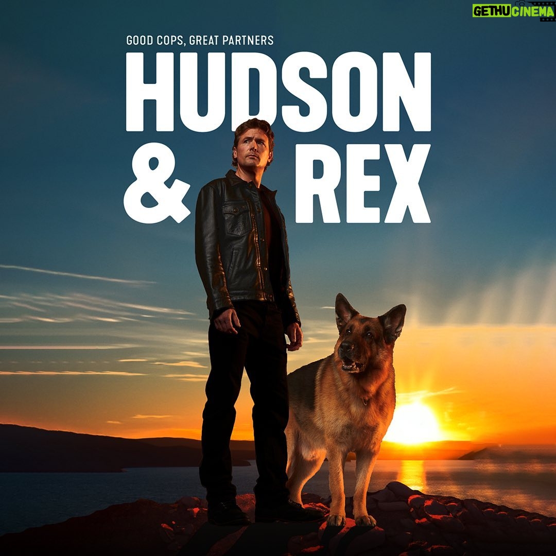 John Reardon - 4.1K Likes - Couple of dogs @brbk9 @rexdieselvomburgimwald @viicmanson
#hudsonandrex #detectives #season6 #stjohns #newfoundland #dogsofinstagram #dogs #germanshepherd #k9 #omega #bloodhounds #animals #puppiesofinstagram #bestfriends #friends #buddies #partnership