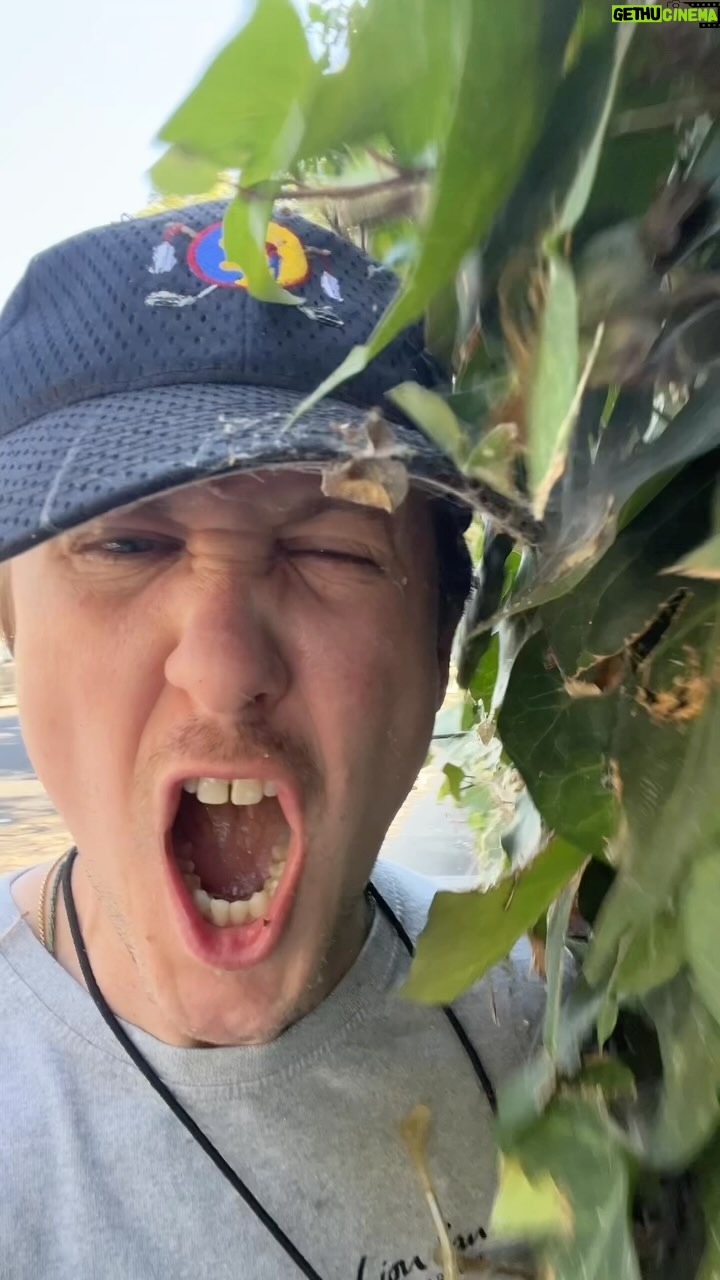 Johnny Pemberton - 627 Likes - TICKETS at johnnypemberton.dog
•cobb’s san fran - aug 28
•punchline sac town - aug 29
•laughs seattle - sept 6,7