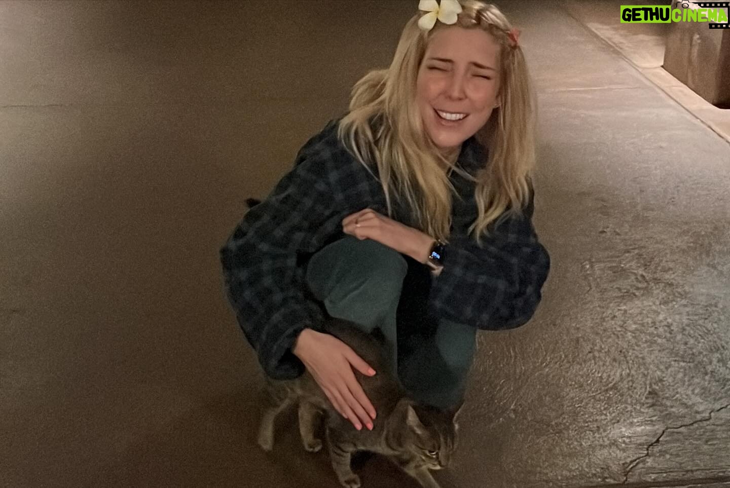 Johnny Pemberton - 3 Likes - happy hawaiāi anniversary to my all time number one sweetheart love Beeba Brownstone š“š«š“
