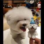 Jolin Tsai