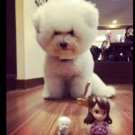 Jolin Tsai