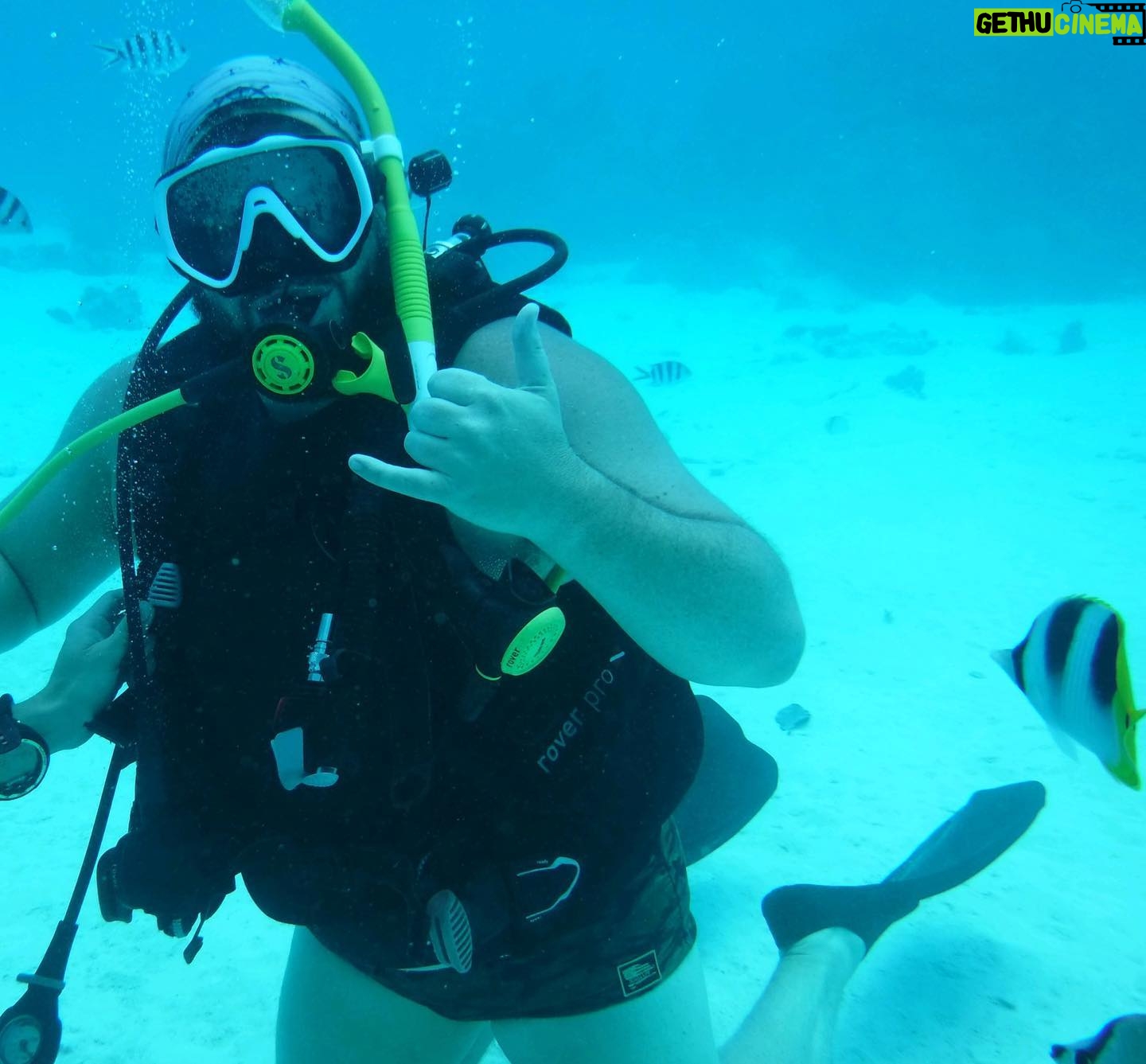 Jon Gabrus - 2.7K Likes - Finally on my fifth dive I was actually looking forward to it, rather than shitting a brick. Thanks to dive master for sharing his air so I can stay down for another 10 minutes (my fat ass sucks air) and thanks to Kim who took the pic and also coached me through my extreme anxiety.
