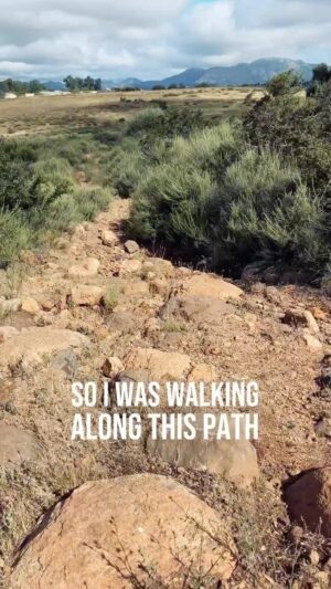 Jon Lajoie Instagram - When the path of life gets bumpy, maybe find an alternate route with less rocks?