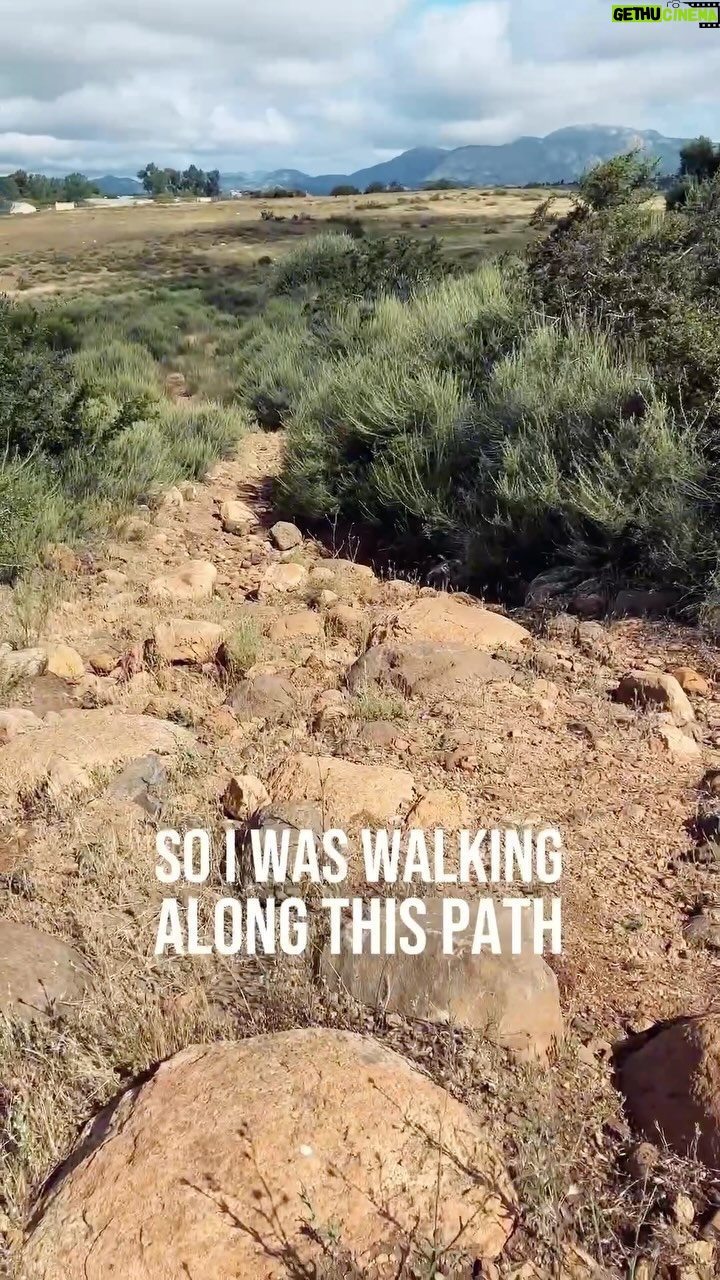 Jon Lajoie - 1.1K Likes - When the path of life gets bumpy, maybe find an alternate route with less rocks?