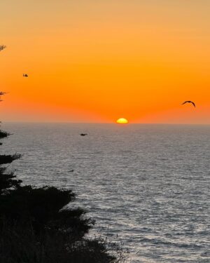 Jon Miller Instagram - SWIPE⬅️ Our day in the fabulous #citybythebay ***from #sfbay to #landsend hiking on the #landsendtrail *** #sunrise🌅 to #sunsetsurf 💃🏻🕺🏻#sutrobaths ***Dinner at @anglersanfrancisco #blessings🙏 ***Photos w/ my iPhone 15 Pro Max…🌉📲