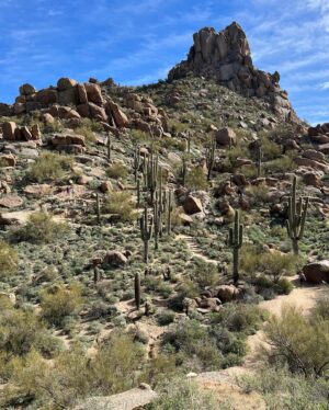 Jon Miller Instagram - SWIPE⬅️ 🌵⚾️ #sfgiants #springtraining Hiking on a day off. Back on the radio tomorrow @giants v @dodgers 12:05p, PST on @knbr and the Giants Radio Network. #pinnaclepeak #dodgers #hikingdog #hikingadventure #yaaasss ⚾️🌵