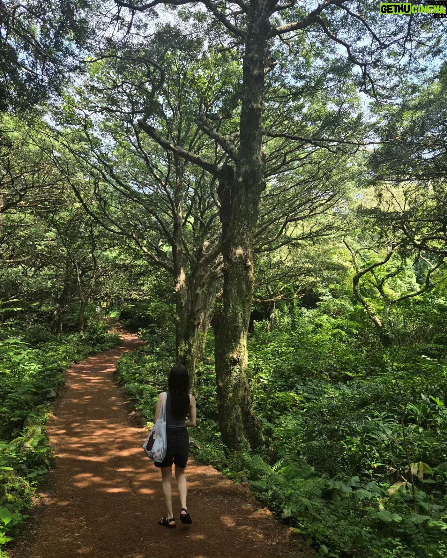 Joo Hyun-young - 31.3K Likes - 늦은 밤의 수다도 참 좋았고 땀흘리며 천천히 걸었던 것도, 정신없이 바다에서 보낸 시간들도 전부 좋았다. 그리고 우연치 않게 만난 사랑스러운 제주 사람들 모두모두! 틈새 제주 공략 성고옹
