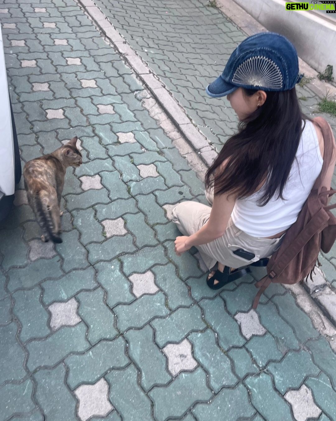 Joo Hyun-young - 17.1K Likes - 🤦♀️💙