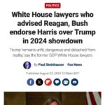 Joy Reid
