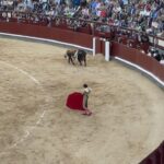 Juanfe Sanz
