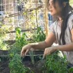 Judy Ann Santos