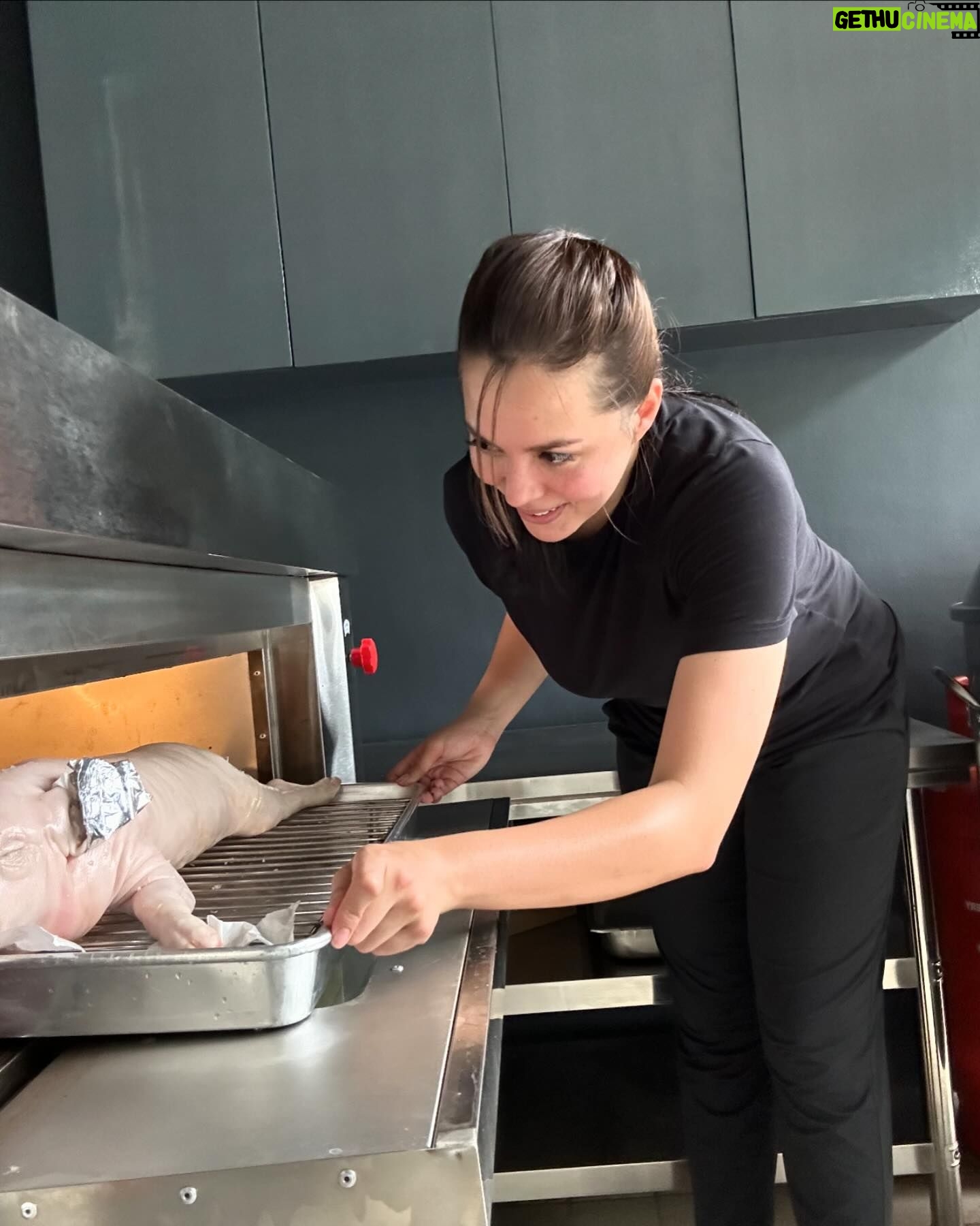 Julia Montes - 96.1K Likes - Cooking lechon ❤️🐷 from my trusted meatshop @gabrielles_organic @angeliebdane it is safe to eat pork ❤️ right achi @pinkytobiano ?