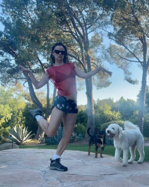 Juliette Lewis Instagram - How’s your summer? Dogs & trees yes and please