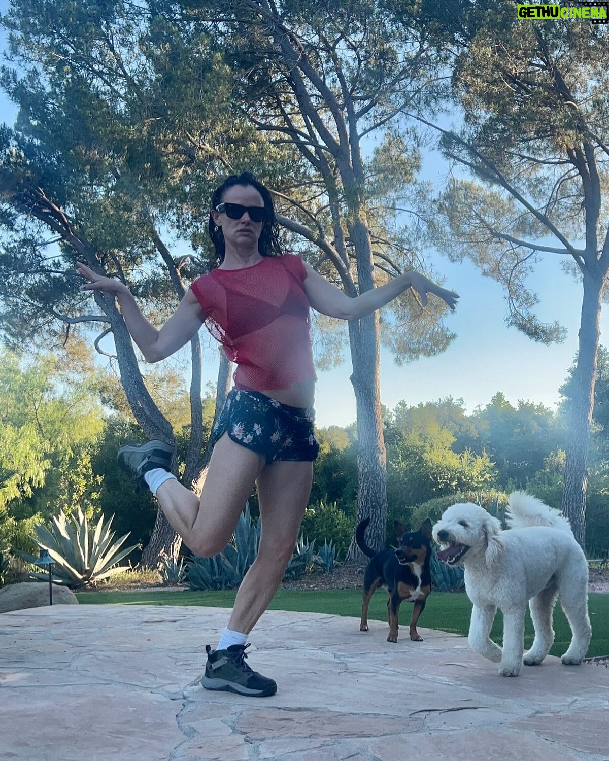 Juliette Lewis - 28K Likes - How’s your summer? Dogs & trees yes and please
