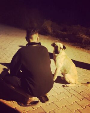 Kadri Beran Taşkın Instagram - sokağınköpekleri #tb