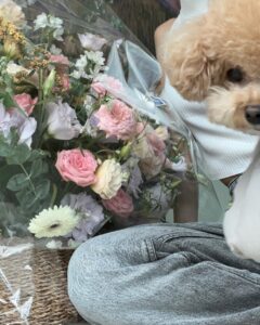 Actress Kang Hye-won HD Instagram Photos and Wallpapers September 2024